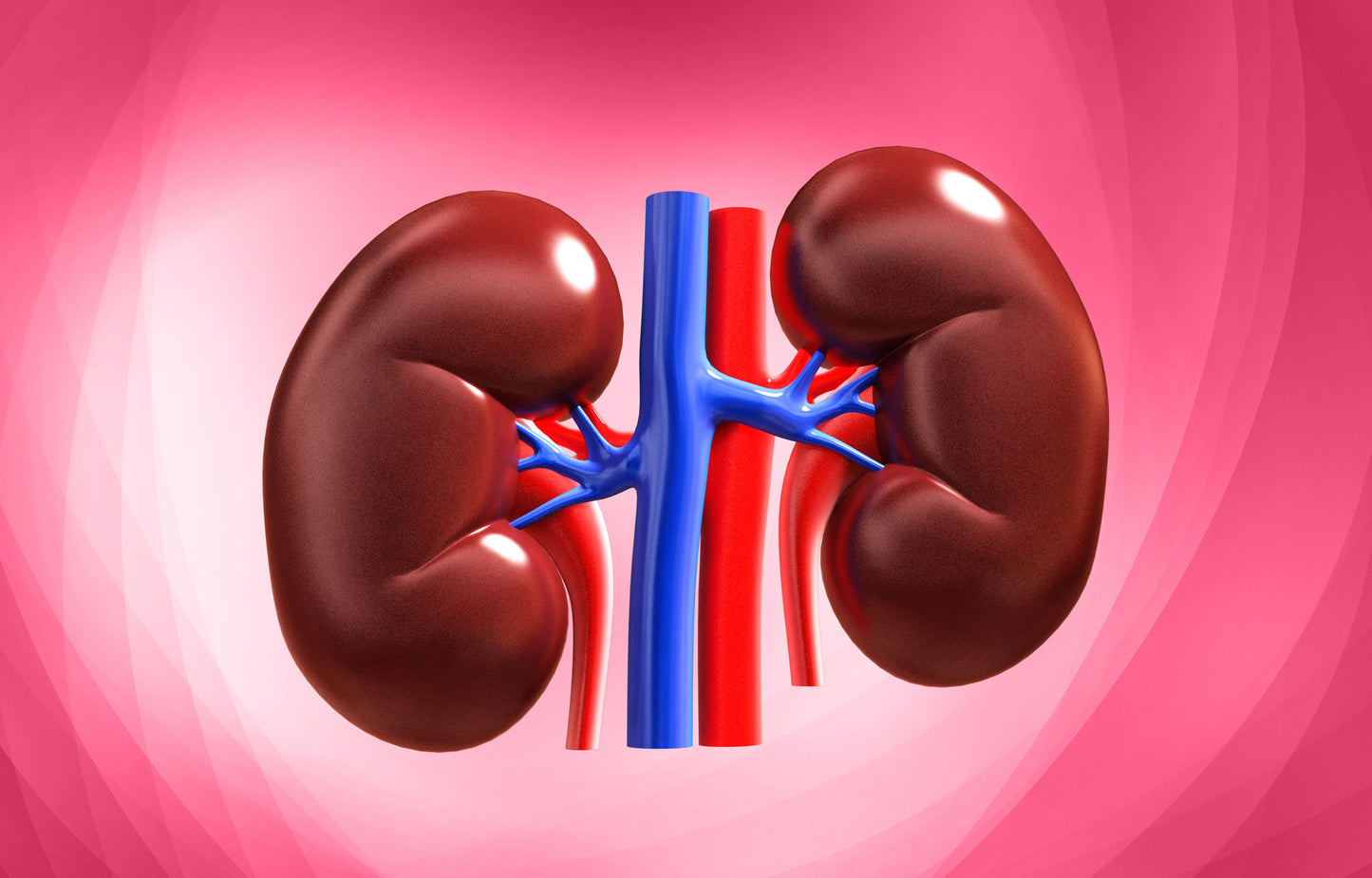 Kidney Detoxing - 6 Top Herbs You Need!