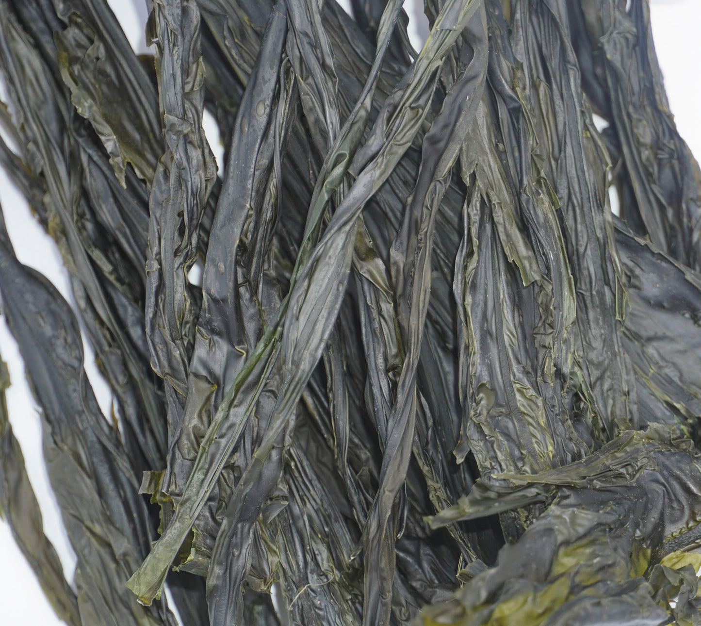 Alkaline Wakame Seaweed - Upful Blends
