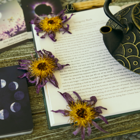 Blue Lotus Tea