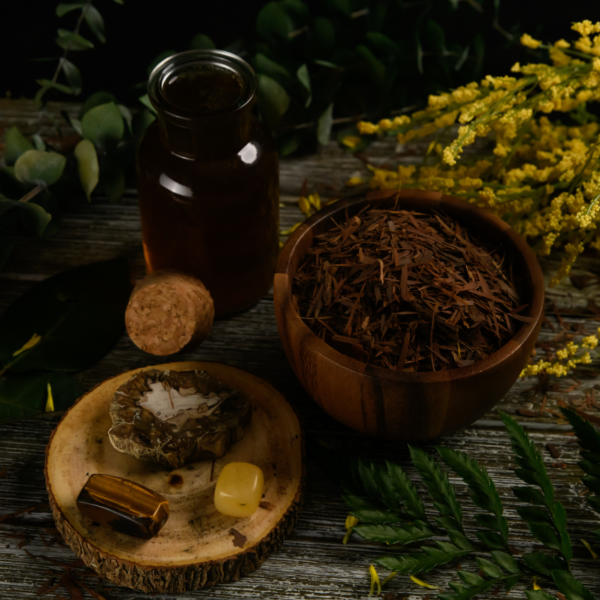 𝑷𝑴: Serenity Blend