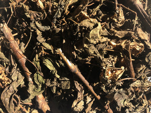 Cordoncillo (Matico) Capsules - Coming May 2019! - Upful Blends