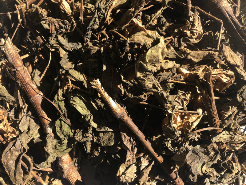 Cordoncillo (Matico) Capsules - Coming May 2019! - Upful Blends