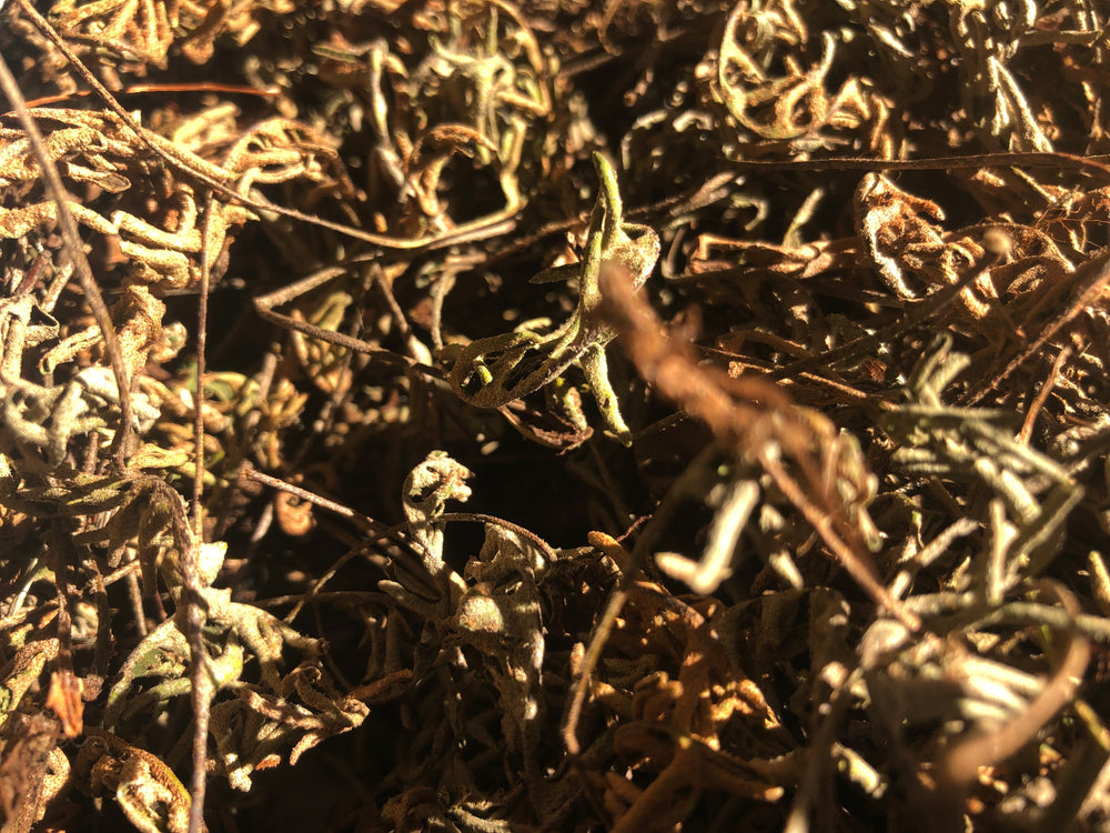 
                  
                    Kalawalla Capsules 
                  
                
