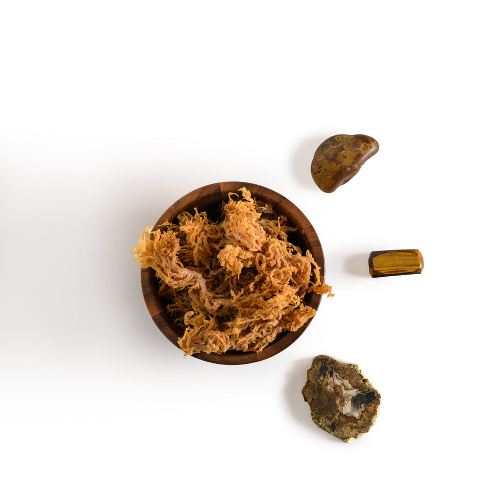 Sea Moss - Overall Health Boost