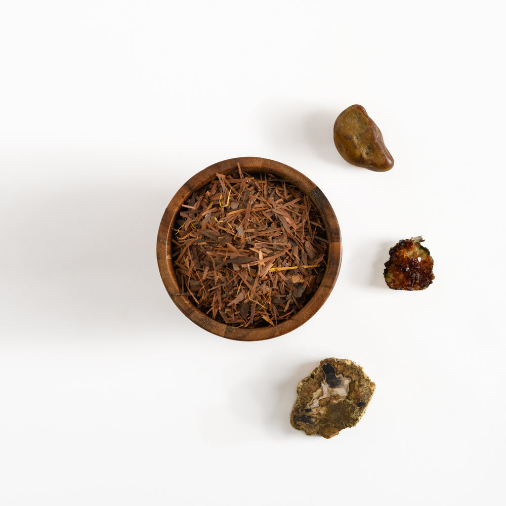 Pau D' Arco (Yeast & Bacteria)