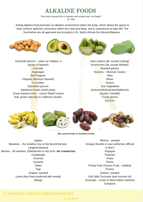 Alkaline Lifestyle Transition Guide (Conscious Plant Based)