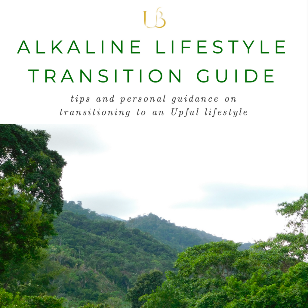 Alkaline Lifestyle Transition Guide (Conscious Plant Based)