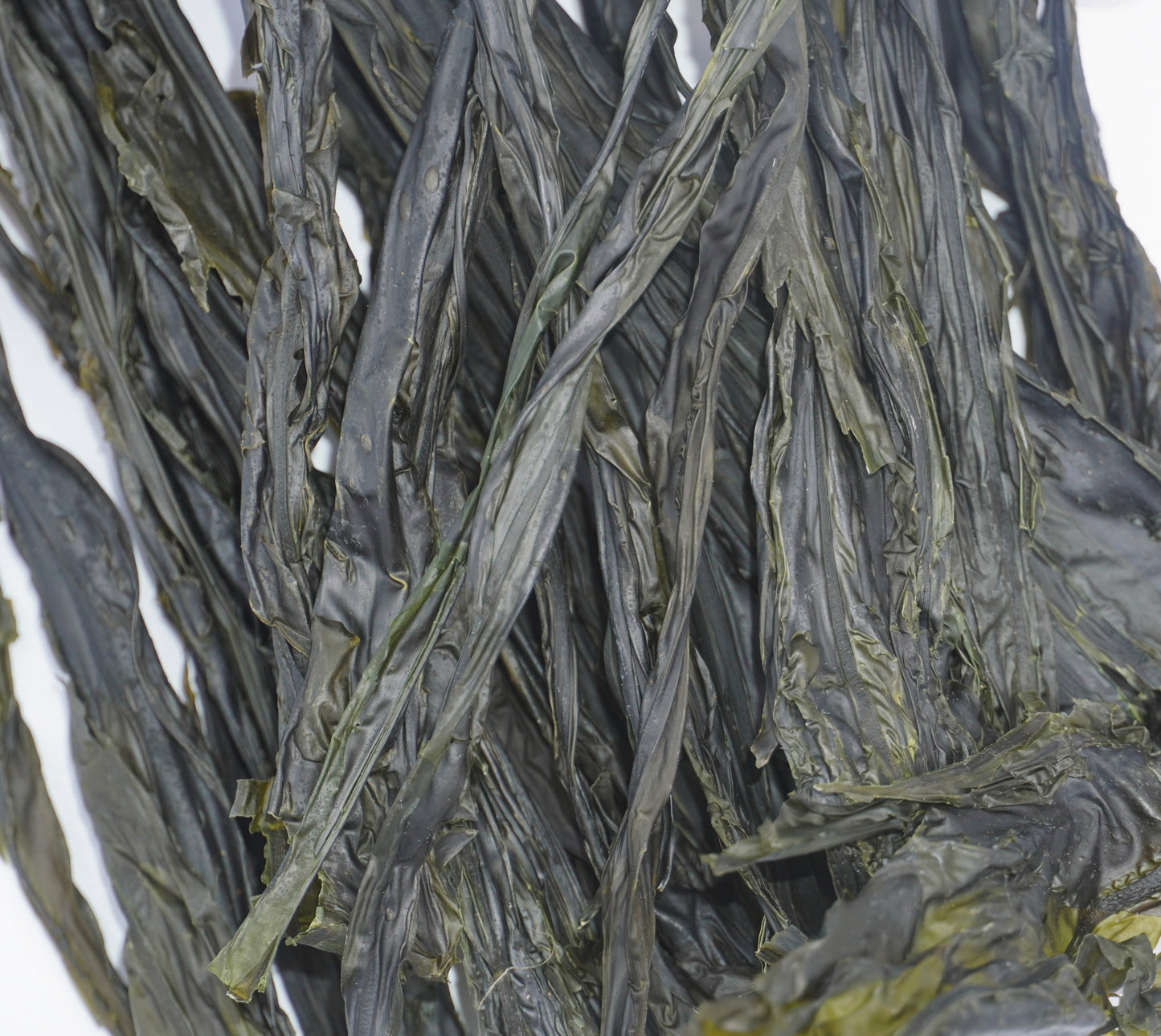 
                  
                    Alkaline Wakame Seaweed - Upful Blends 
                  
                